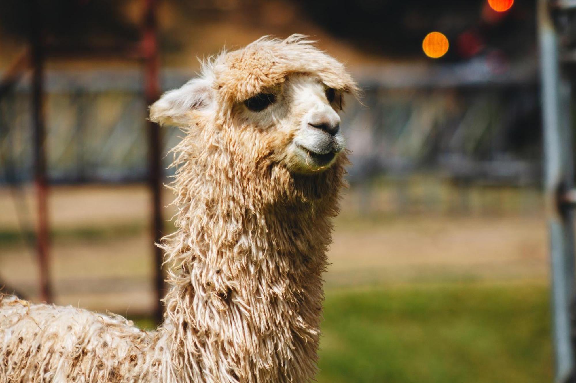 Hacienda Del Valle Sagrado ウルバンバ エクステリア 写真