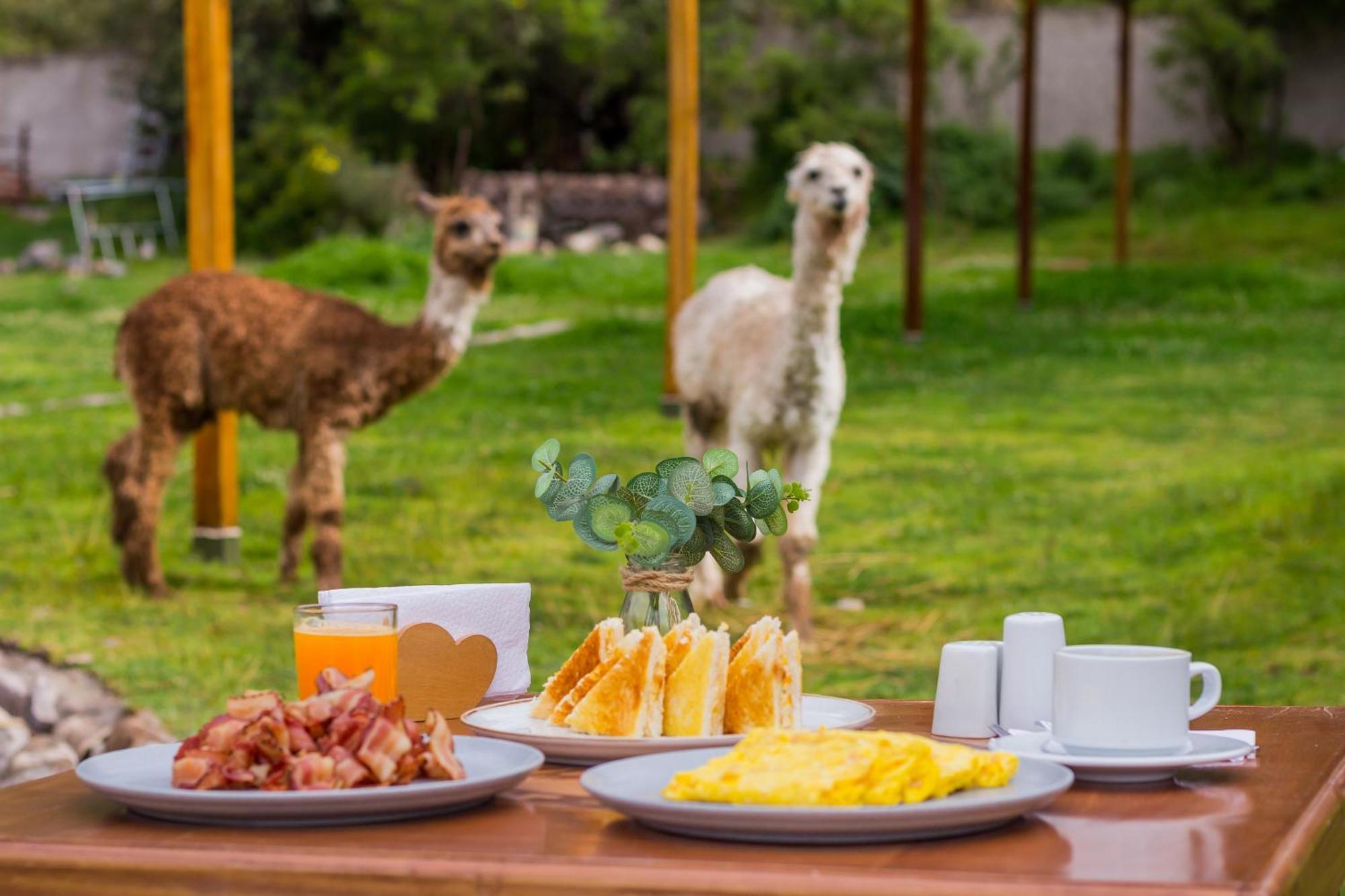 Hacienda Del Valle Sagrado ウルバンバ エクステリア 写真